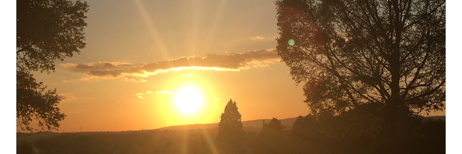 clareconey's profile banner image