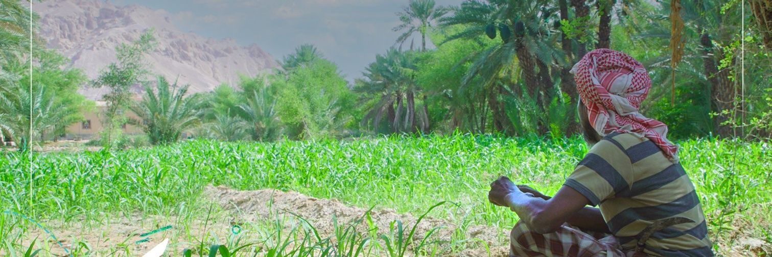 mohdalsayd's profile banner image