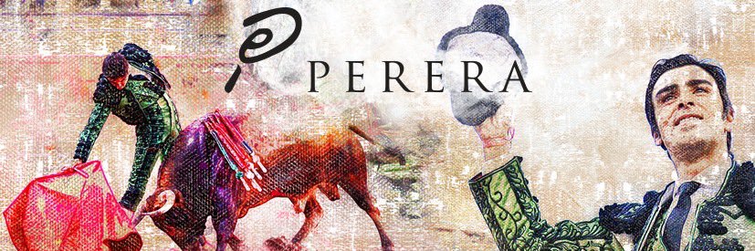 InfoMAPerera's profile banner image