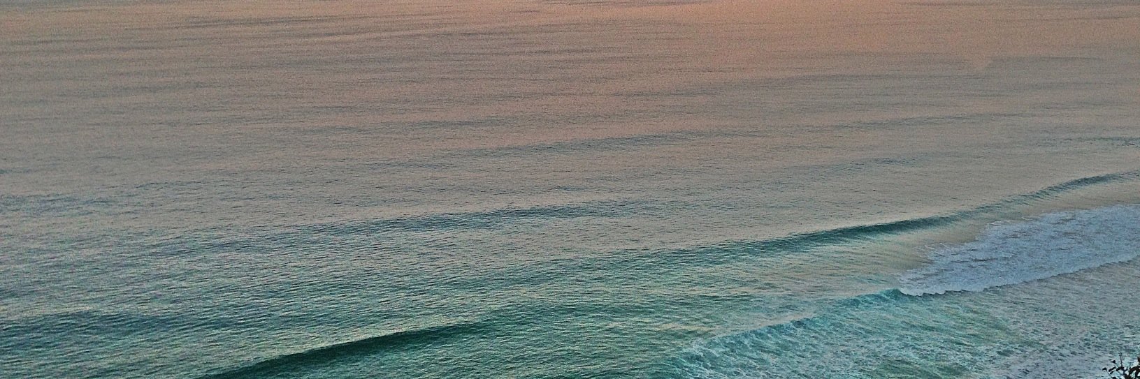ClaireCottone's profile banner image