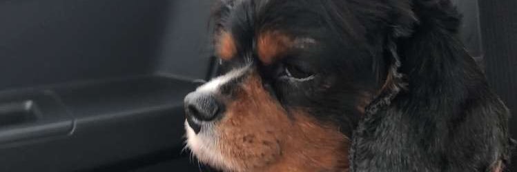 DannyMo12's profile banner image