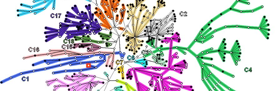 vivgalvao's profile banner image