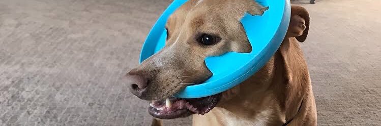 Kyle Johansen banner