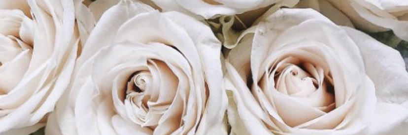 juliiacav's profile banner image
