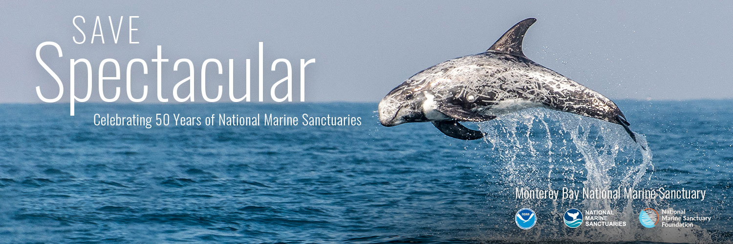 NOAA's Monterey Bay NMS banner