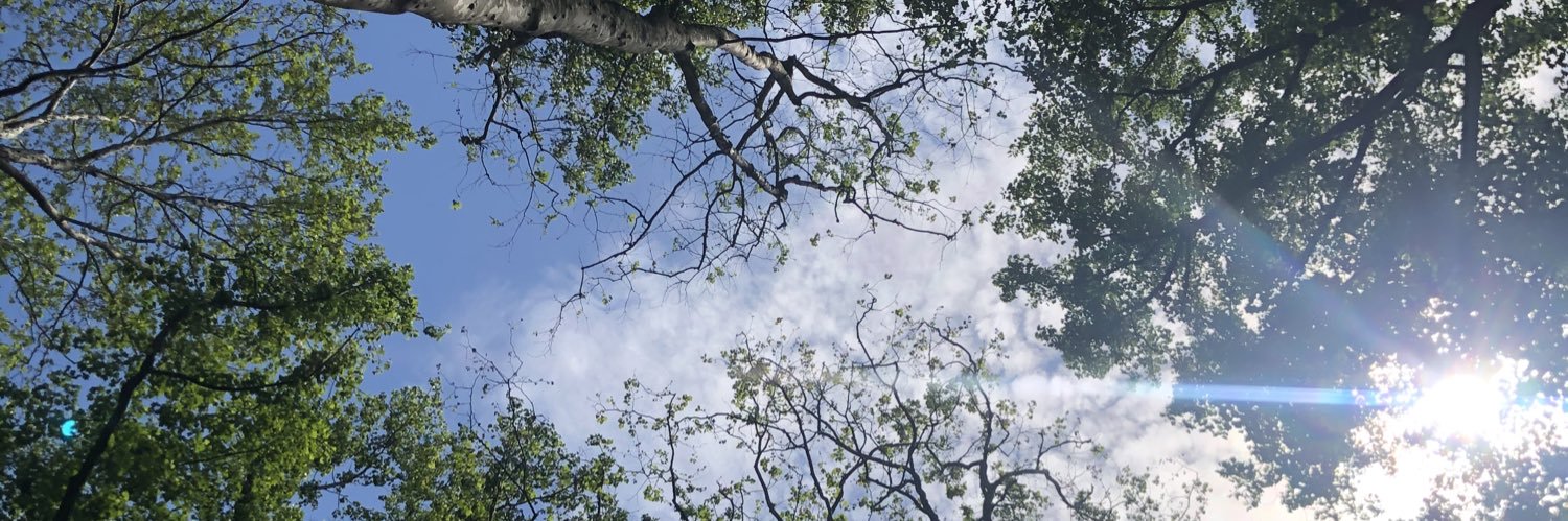 Amoretta Morris banner