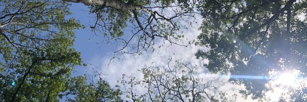 rettaworld Profile Banner