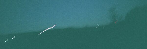 snp Profile Banner
