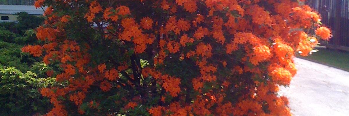 HomeInsteadPEI's profile banner image