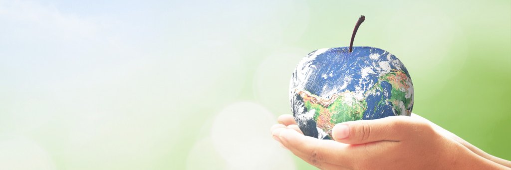 NSF_Canada's profile banner image