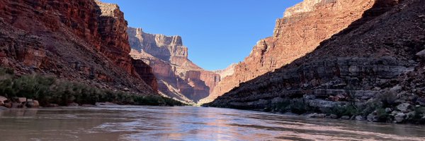 Laurapitter Profile Banner