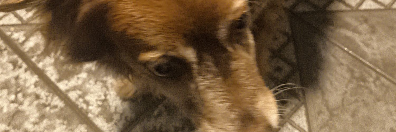 Alex De Franco banner