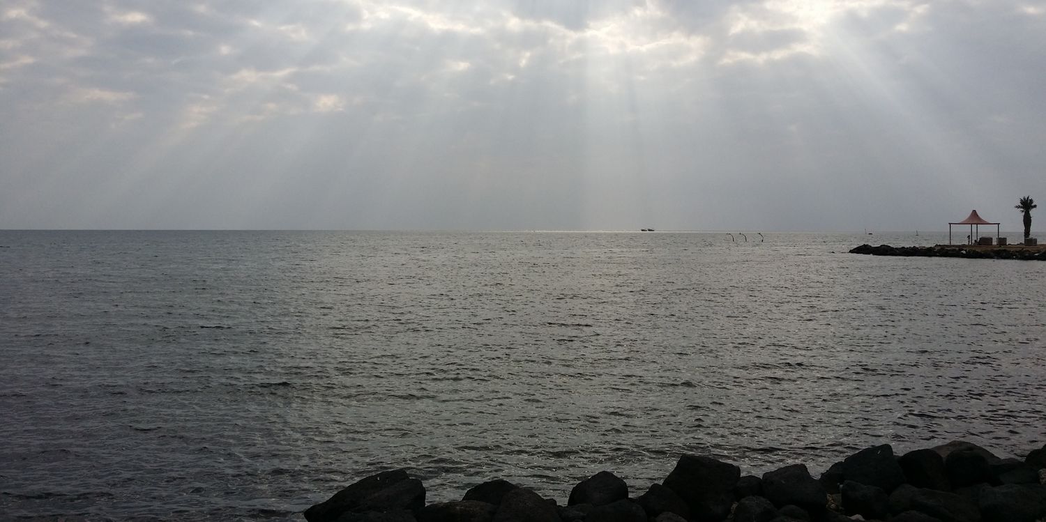arefko1's profile banner image