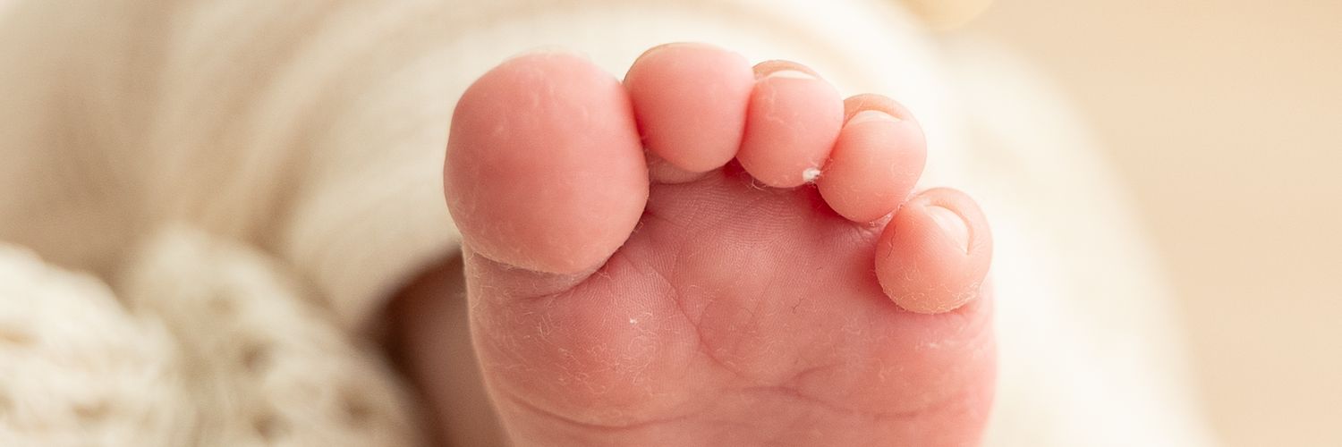 Alexander³ Bernal banner