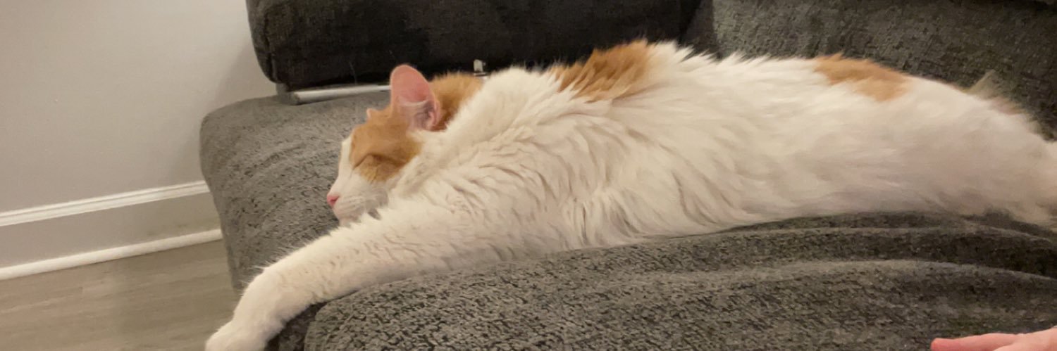 ATibbs_12's profile banner image