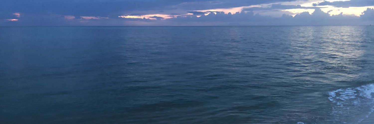 Dschnit's profile banner image