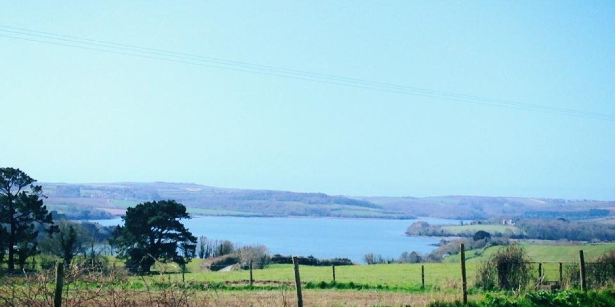 HelenRipper's profile banner image