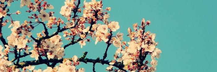 jlrhaf's profile banner image