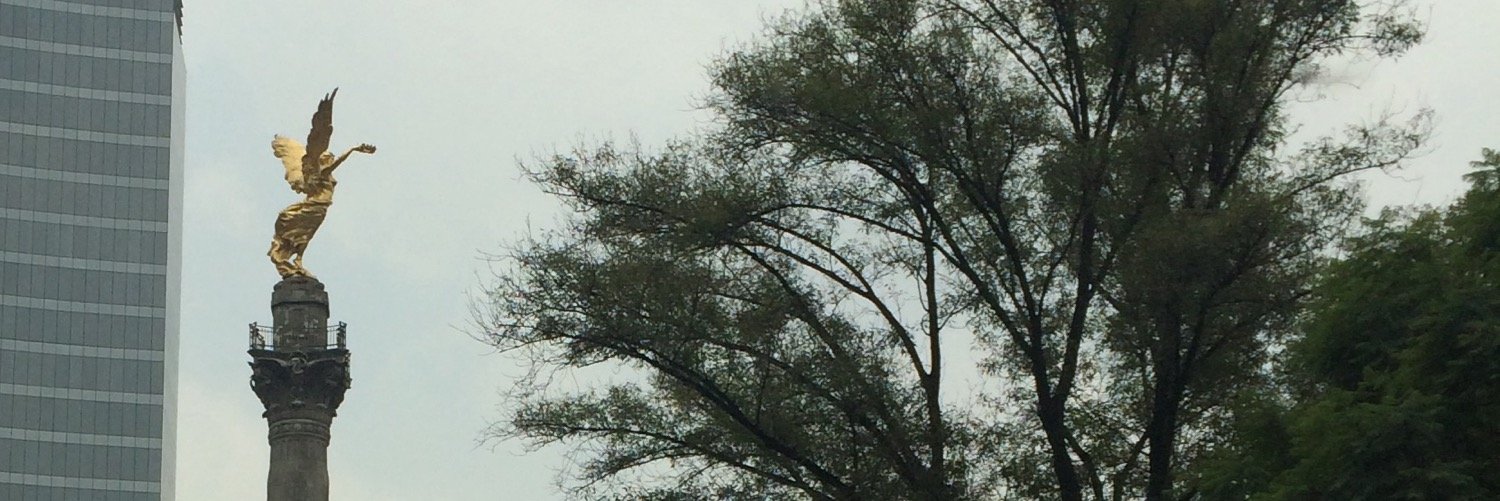 fecegu's profile banner image