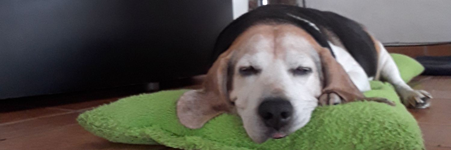 JAVCADENA's profile banner image