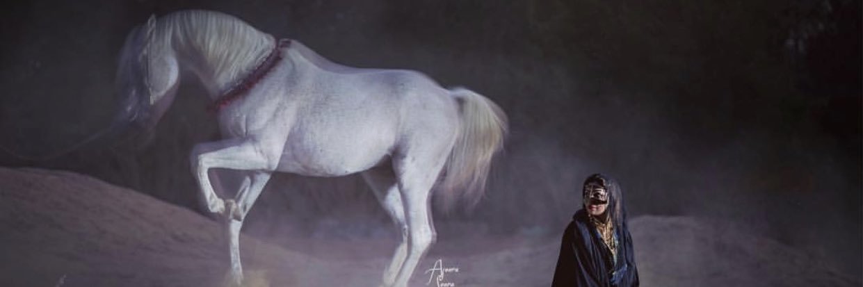 Dloolsh's profile banner image