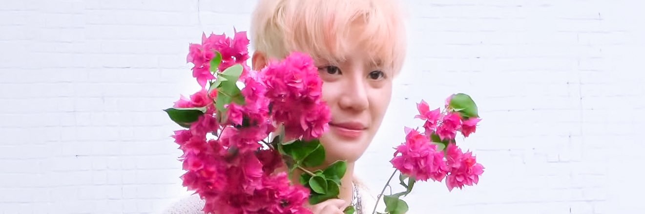 SoSo____1215's profile banner image