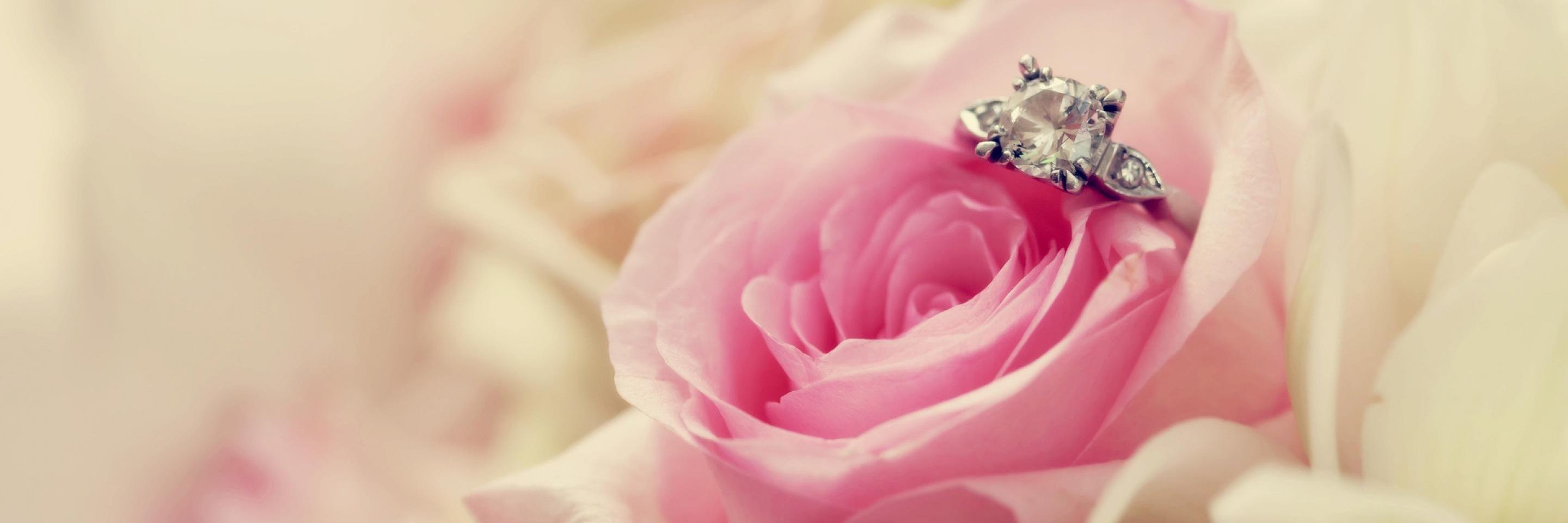 devi_amrita's profile banner image