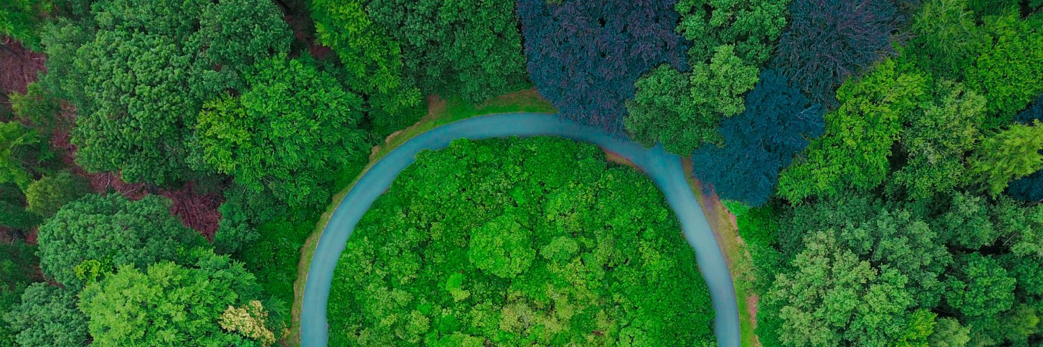 oceanepuech's profile banner image