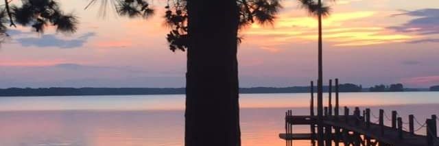 Colleen Pelley banner