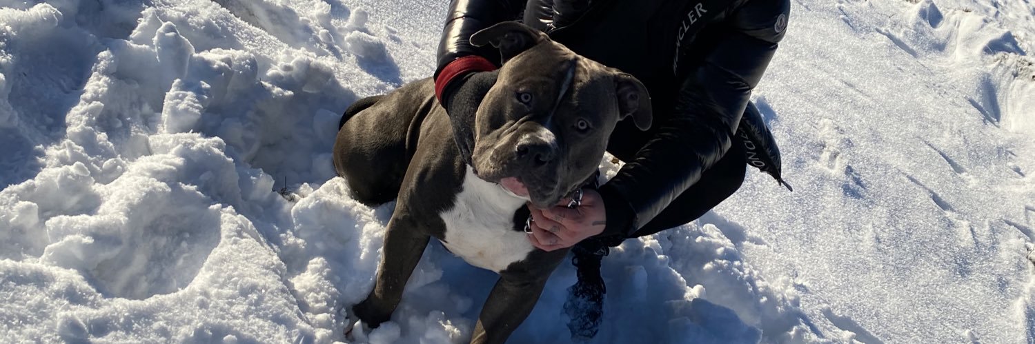 Sami Ferrigan banner