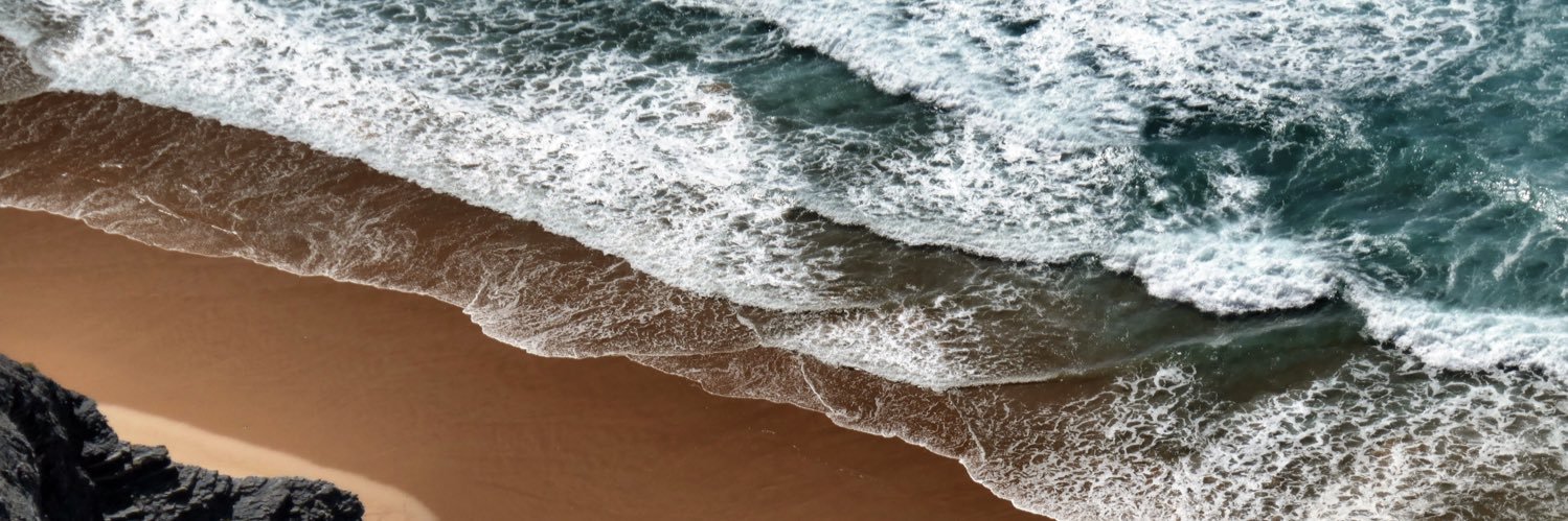 NZyryanova's profile banner image