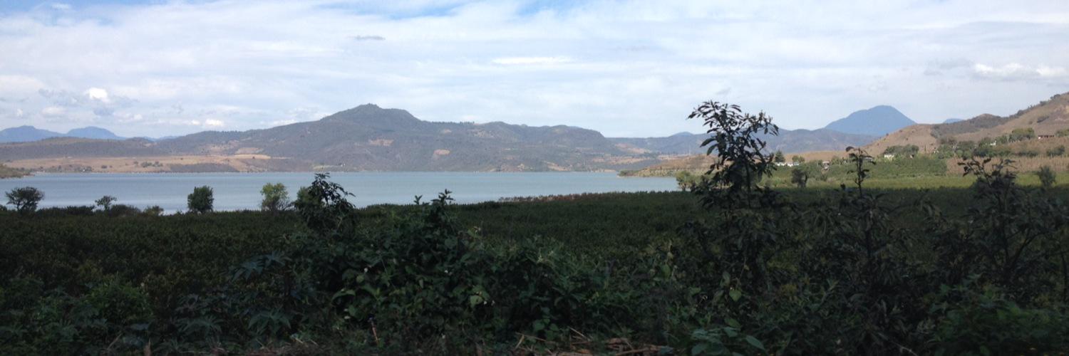 ingtadeo's profile banner image