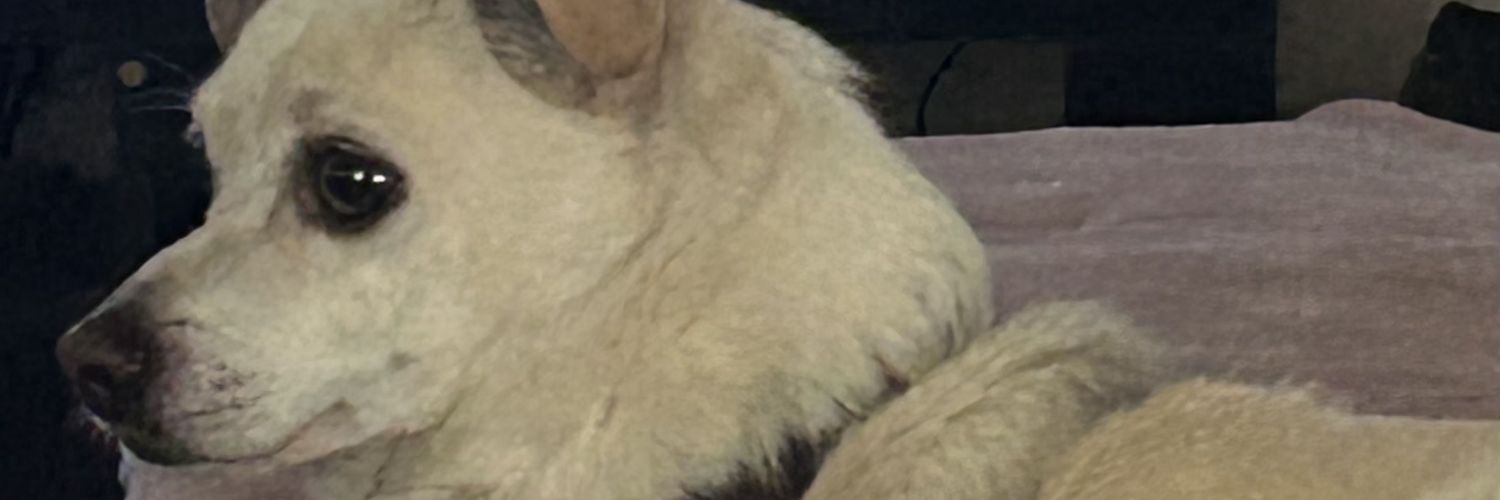 STevRock_'s profile banner image