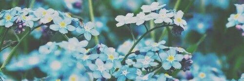 Laurabf248's profile banner image