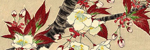 NadiaMeflah Profile Banner