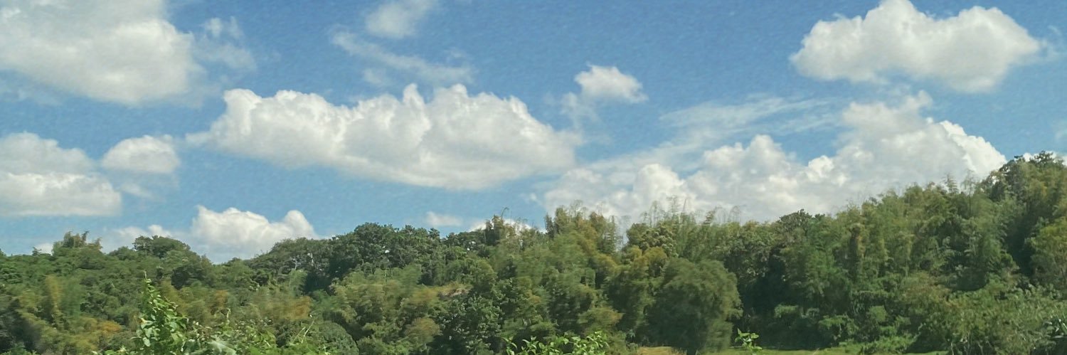 rxnze's profile banner image