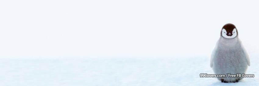 yyfc__'s profile banner image
