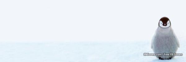 yyfc__ Profile Banner