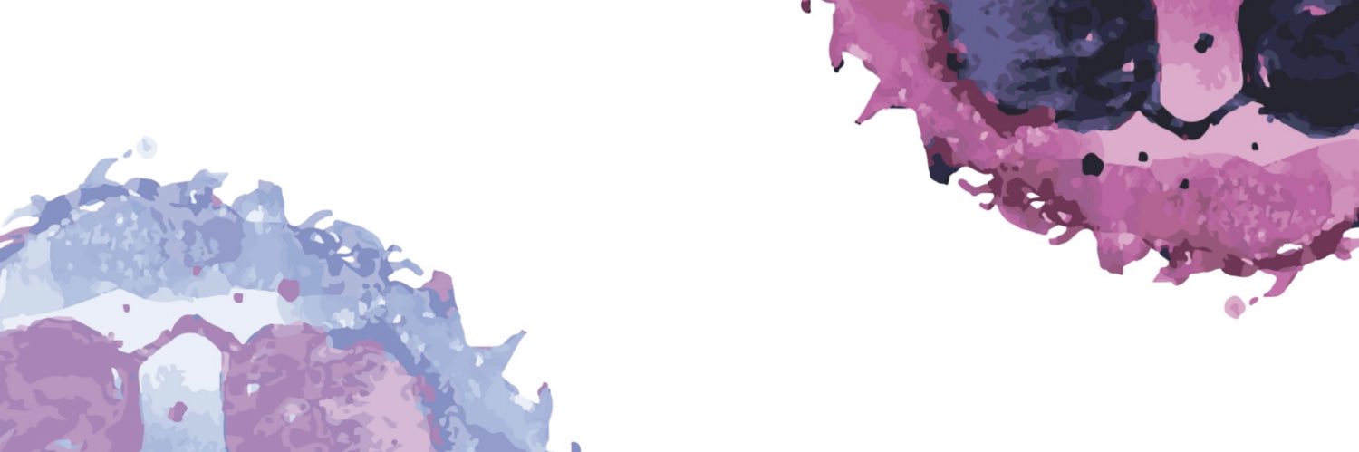 Aleejandra__'s profile banner image