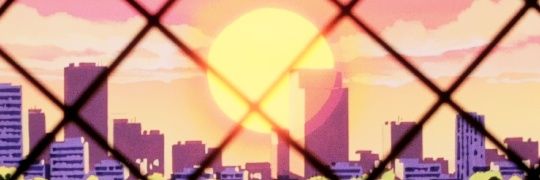 chikoritargh's profile banner image