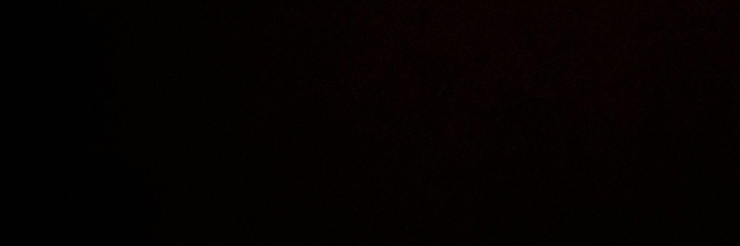 No to paper tigers banner