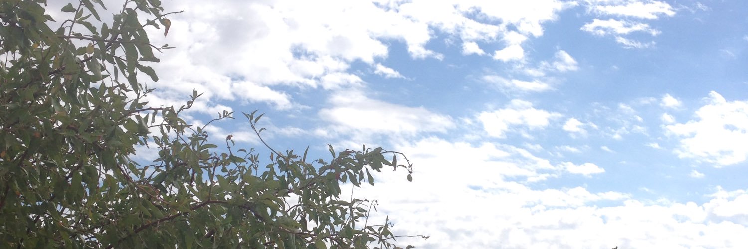 cntrkyldrm's profile banner image