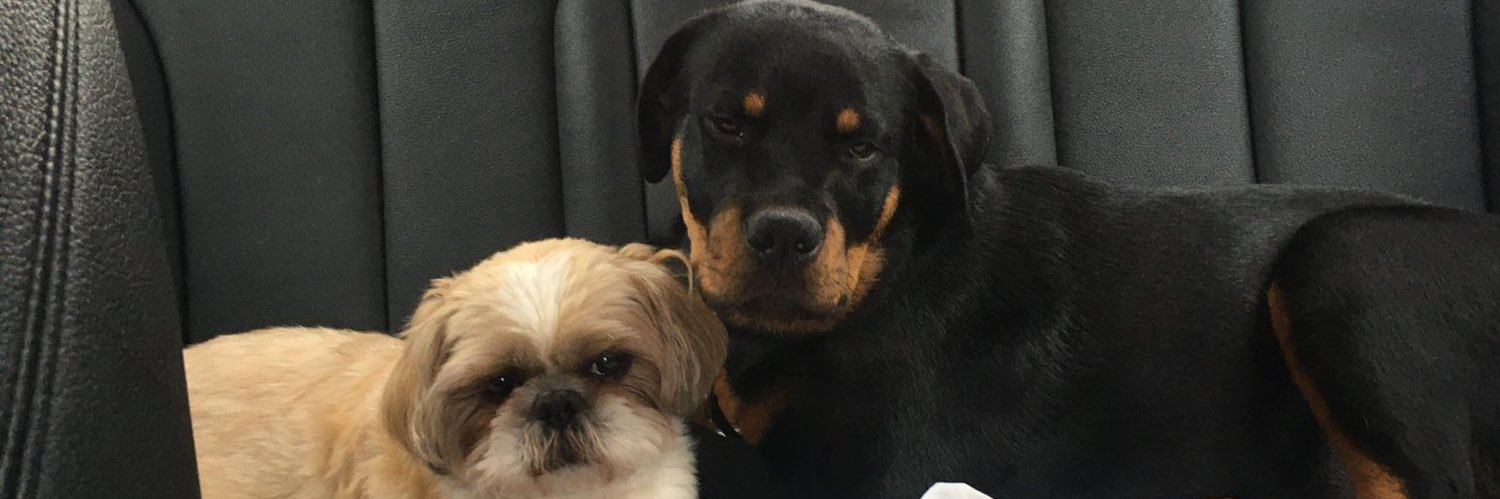 LukeRimmer14's profile banner image