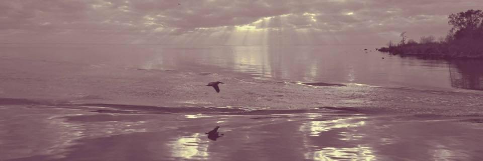 deb_debj14's profile banner image