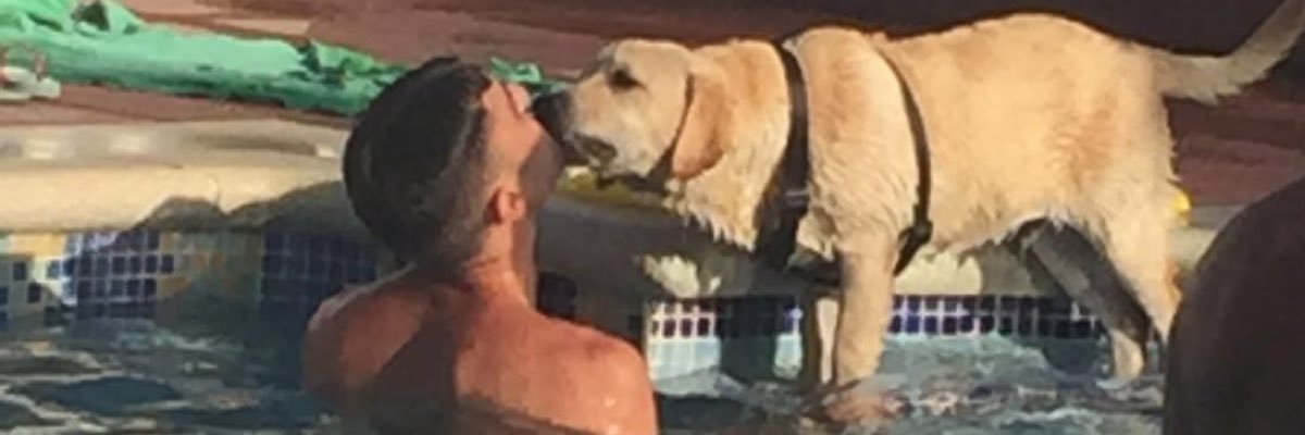 danisalva9's profile banner image