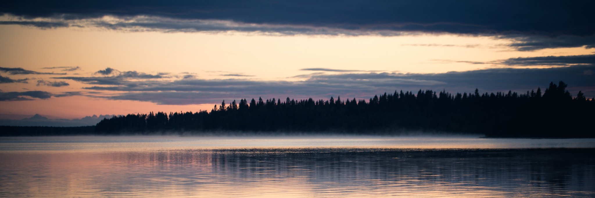 RTaurinka's profile banner image