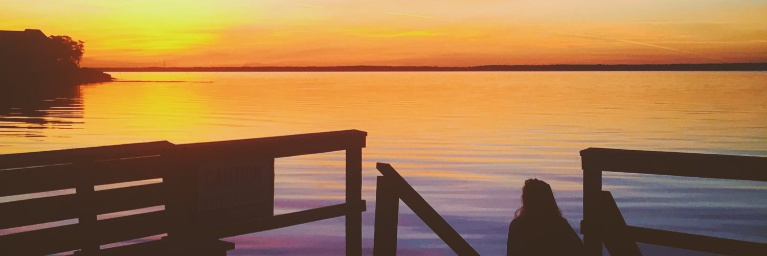 StephSingletary's profile banner image