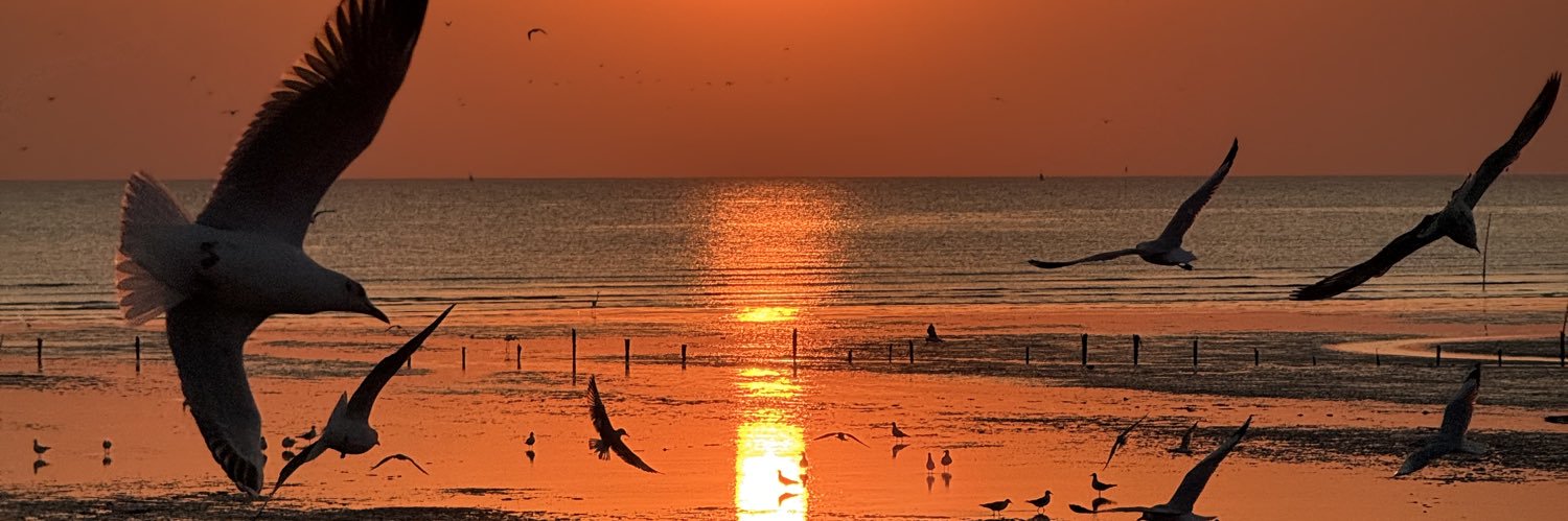 กวย🦭 banner