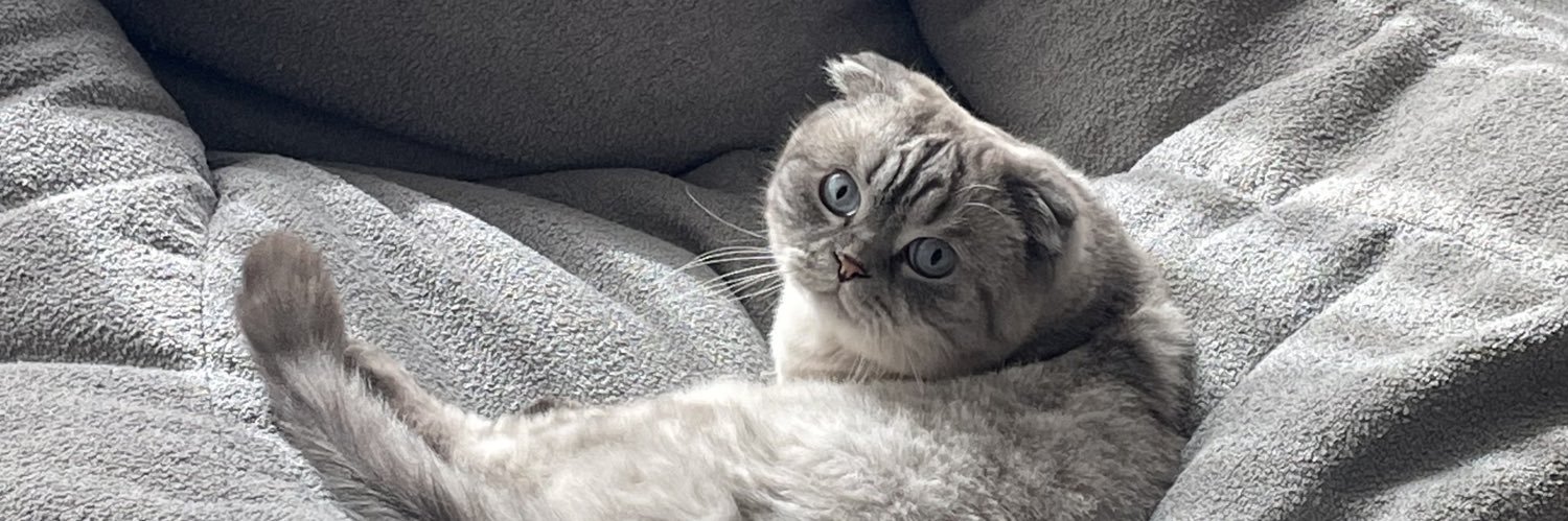 dogaasrik's profile banner image