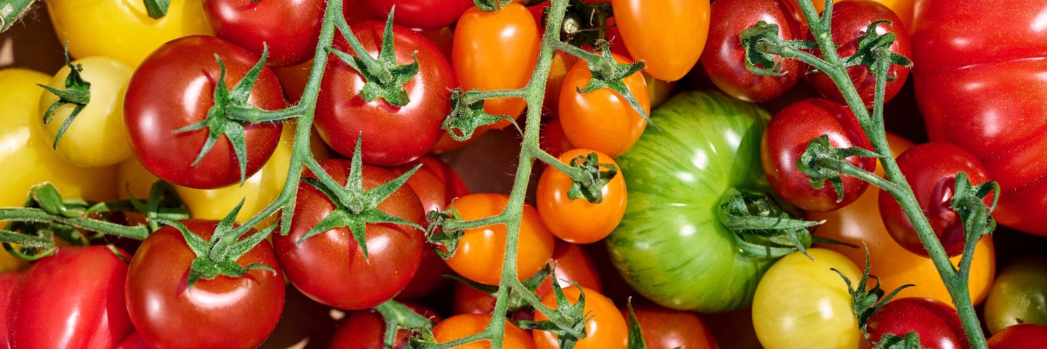 iowtomatoes's profile banner image